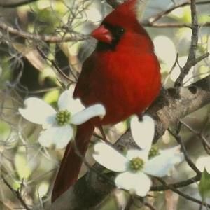 Meet your Posher, Amyandarnold